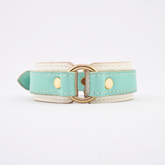 Leather Dog Collar - Turquoise